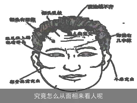 究竟怎么从面相来看人呢