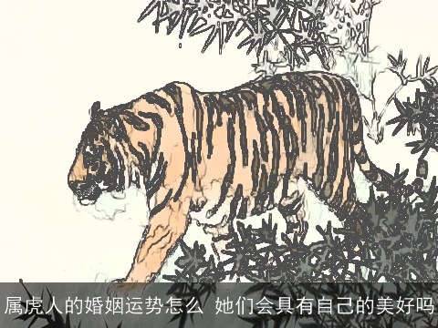 属虎人的婚姻运势怎么 她们会具有自己的美好吗