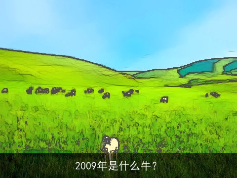 2009年是什么牛？