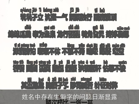 姓名中存在生僻字的问题日渐显露