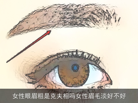 女性眼眉粗是克夫相吗女性眉毛淡好不好