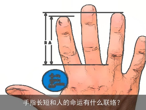 手指长短和人的命运有什么联络？