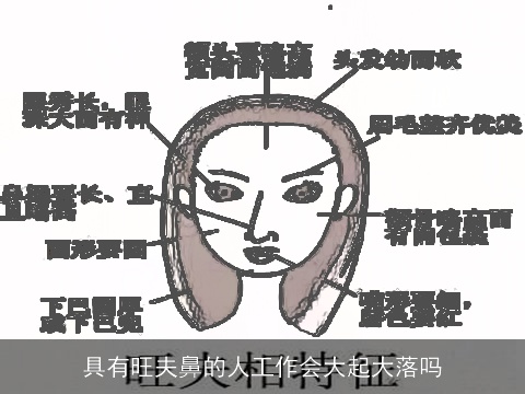 具有旺夫鼻的人工作会大起大落吗