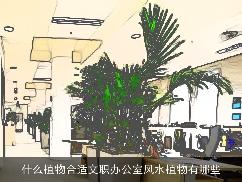 什么植物合适文职办公室风水植物有哪些