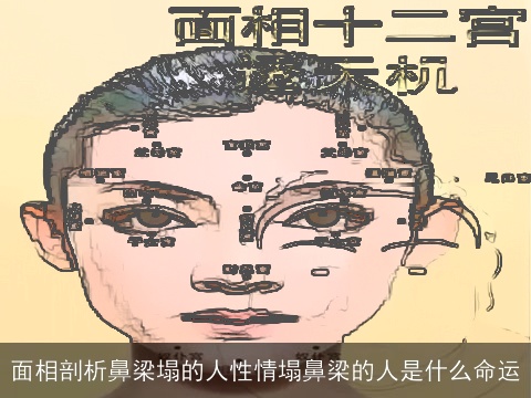 面相剖析鼻梁塌的人性情塌鼻梁的人是什么命运