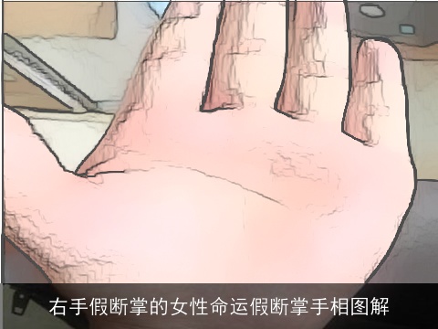 右手假断掌的女性命运假断掌手相图解