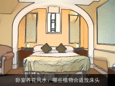 卧室养花风水：哪些植物合适放床头