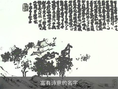 富有诗意的名字