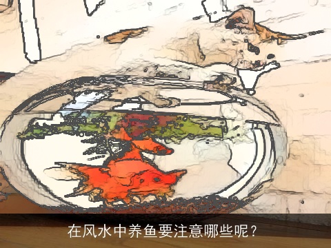 在风水中养鱼要注意哪些呢？