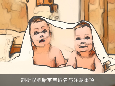 剖析双胞胎宝宝取名与注意事项