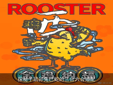 探秘子鼠卯兔巳蛇的三合六合婚配