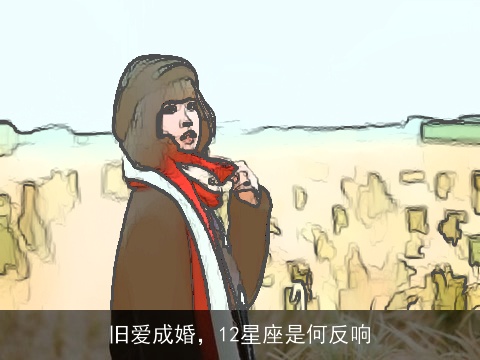 旧爱成婚，12星座是何反响