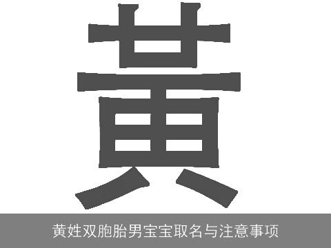 黄姓双胞胎男宝宝取名与注意事项