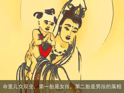 命里儿女双全，第一胎是女孩，第二胎是男孩的属相