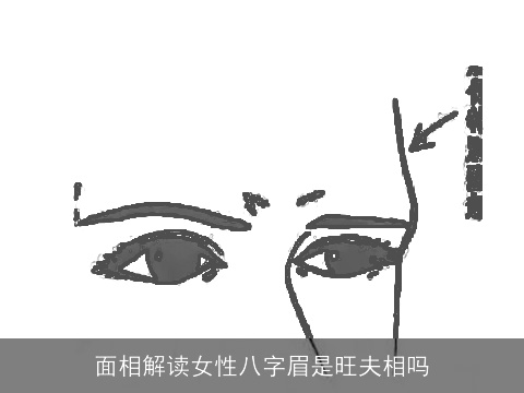 面相解读女性八字眉是旺夫相吗