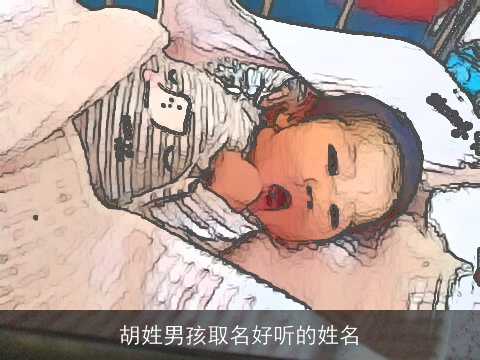 胡姓男孩取名好听的姓名