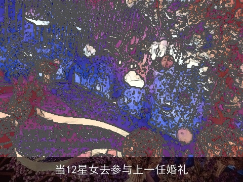 当12星女去参与上一任婚礼