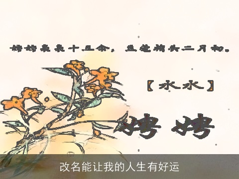 改名能让我的人生有好运