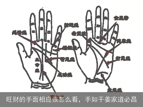 旺财的手面相应该怎么看，手如干姜家道必昌