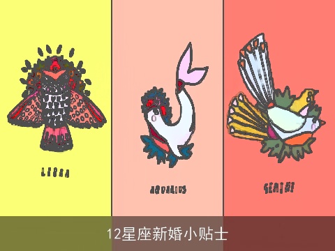 12星座新婚小贴士