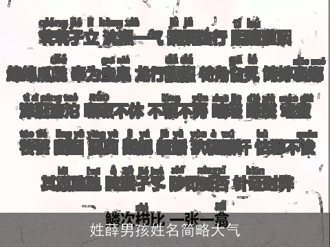 姓薛男孩姓名简略大气