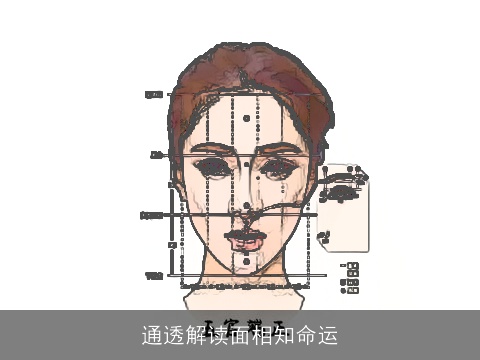 通透解读面相知命运