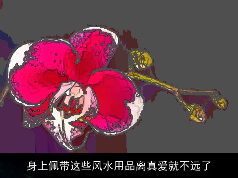 身上佩带这些风水用品离真爱就不远了