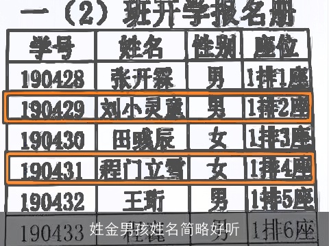 姓金男孩姓名简略好听