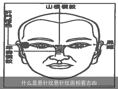 什么是悬针纹悬针纹面相看吉凶