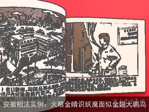 安徽相法实例：火眼金睛识妖魔面似金翅大鹏鸟