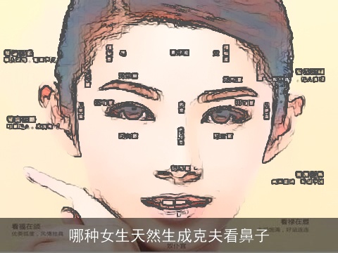 哪种女生天然生成克夫看鼻子