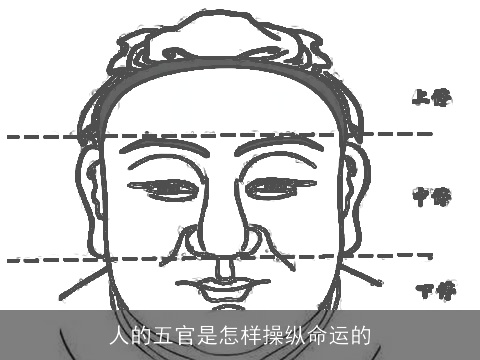 人的五官是怎样操纵命运的