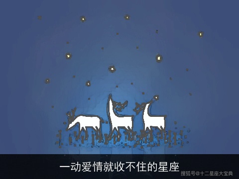 一动爱情就收不住的星座