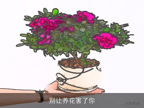 别让养花害了你