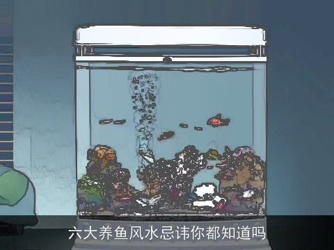 六大养鱼风水忌讳你都知道吗