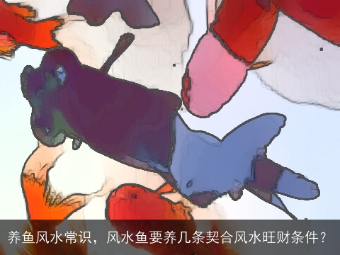 养鱼风水常识，风水鱼要养几条契合风水旺财条件？