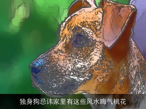 独身狗忌讳家里有这些风水晦气桃花