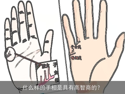什么样的手相是具有高智商的？