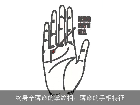 终身辛薄命的掌纹相、薄命的手相特征