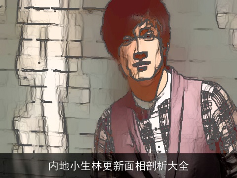 内地小生林更新面相剖析大全