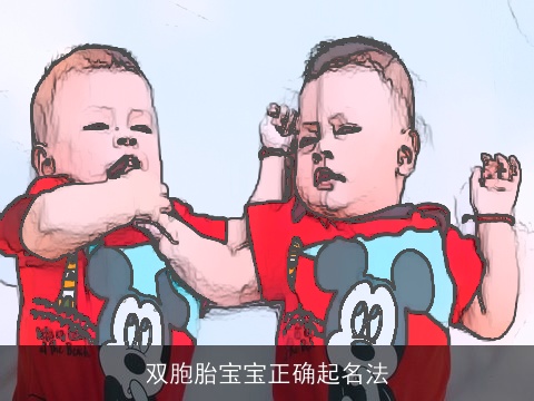 双胞胎宝宝正确起名法