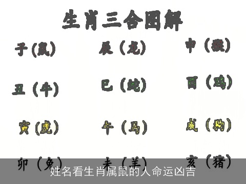 姓名看生肖属鼠的人命运凶吉