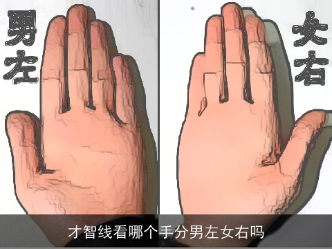 才智线看哪个手分男左女右吗