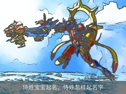 侍姓宝宝起名，侍姓怎样起名字