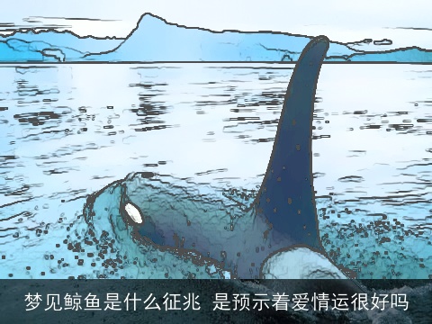 梦见鲸鱼是什么征兆 是预示着爱情运很好吗