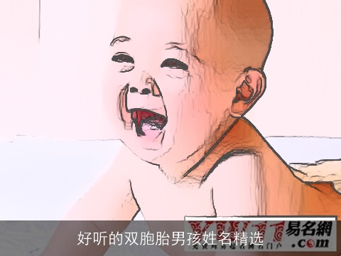 好听的双胞胎男孩姓名精选