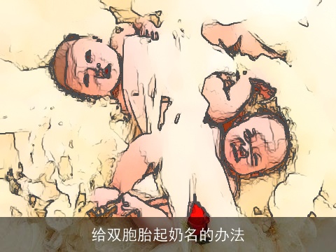 给双胞胎起奶名的办法