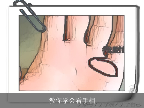 教你学会看手相