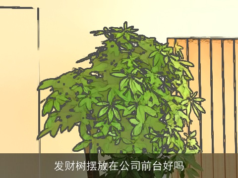 发财树摆放在公司前台好吗