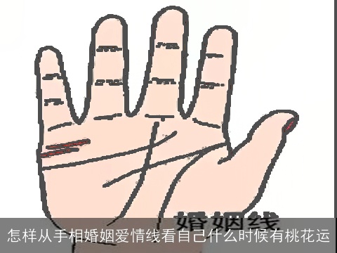 怎样从手相婚姻爱情线看自己什么时候有桃花运